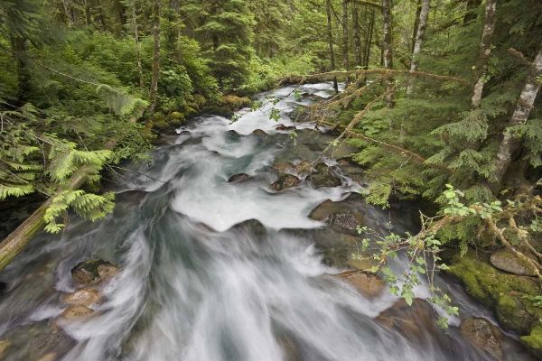 WA, North Cascades Water rushes in Cascade River